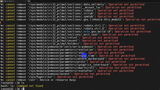【Linux运维】rm -rf /*的后果是什么