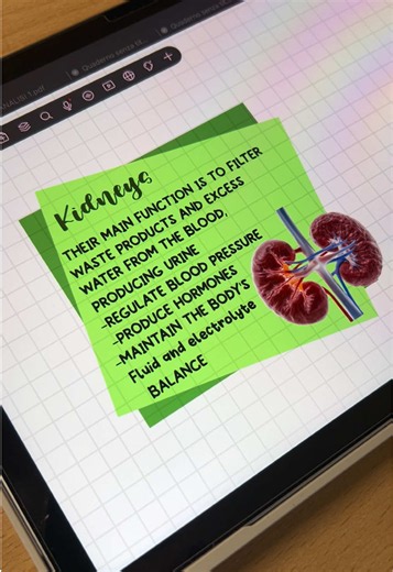 All in one note - taking app! 🫶🏻| adv #freenotes #ipad #tutorials #notes #studytok
