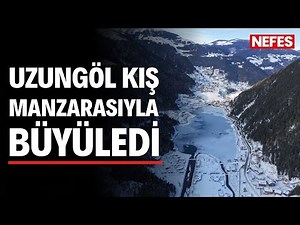 Soğuk hava Uzungöl’ü buzla kapladı