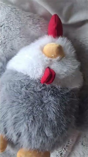 a loop that has a chicken in it