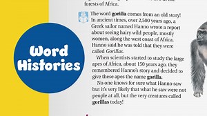 Watch Merriam-Webster's First Dictionary on Amazon Live