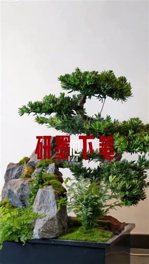 Indoor green plant landscaping needs! Soilless cultivation with flowing water