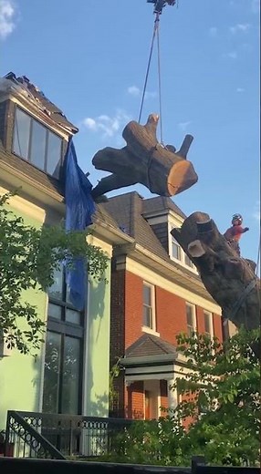 High Risk Tree Removal with Crane + knuckle Boom! #treeremoval #Arborist #Cranerigging #knuckleboom