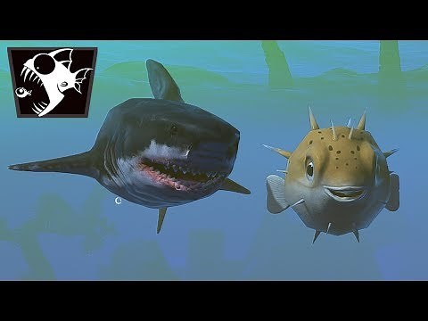 LE POISSON-GLOBE AFFRONTE TOUT LES REQUINS ! (Feed And Grow #68)