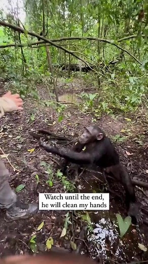 This scene is unreal | Beauty of Nature