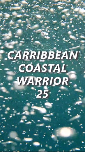 2d Marine Division on Instagram: "Undersea Warriors 🥽🌊 See for yourself POV footage of the dive training our #Marines with 2d Reconnaissance Battalion received from our Netherlands Marine Corps, @korpsmariniers, partners in Aruba during Exercise Caribbean Coastal Warrior 25. Among the skills trained were underwater infiltration and exfiltration skills, Underwater Breathing Apparatus and Self-Contained Underwater Breathing Apparatus (UBA/SCUBA) training, and hook and climb drills. Enhancing the