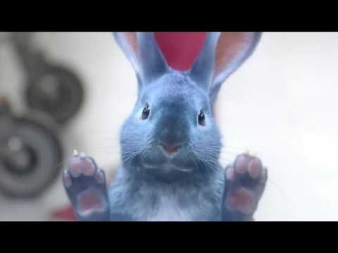 Facts about the Blue Bunny ice cream