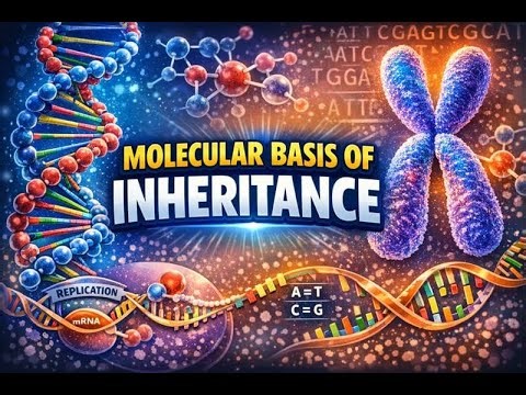 MOLECULAR BASIS OF INHERITANCE || CLASS 12 || #ncert #class12 #biology #boardexam