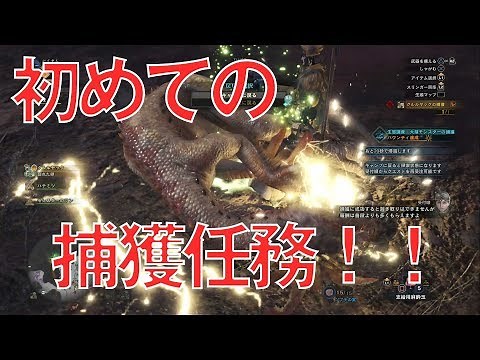 【PS4】『モンスターハンター：ワールド』捕獲の仕方がやっとわかりました・・・初めての捕獲任務