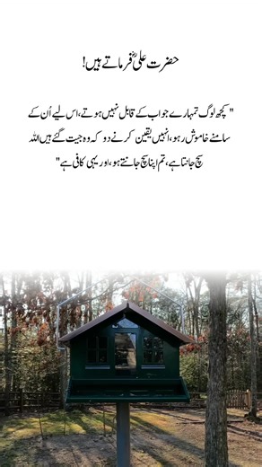 Hazrat Ali Quotes for Deep Reflection