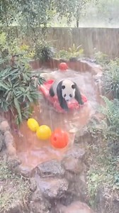 Pandana Pones and the search of the lost piece of the sacred bamboo! 😜 #panda #fluffy #pandas #cute #naturephotography #nature #care #beautiful #love #panda #fluffy #pandas #cute #naturephotography #nature #care #beautiful #love #babypanda #babypandas #funnyanimals #playingtoys #playing #takeabath #bath | Pandas, a Light In My Heart