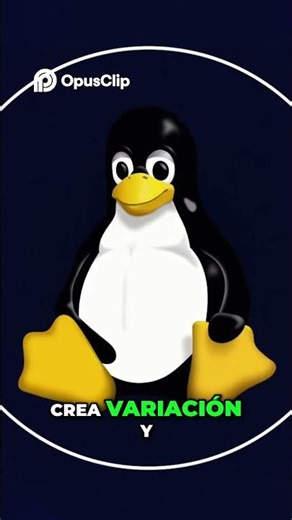 Software 'Casi' Bueno_ Riesgo Legal Mata Discusión (En Español)