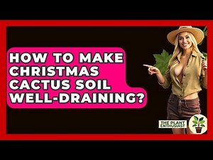 How To Make Christmas Cactus Soil Well-draining? - The Plant Enthusiast