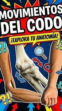 Movimientos del Codo (Fácil y Rápido) | Flexión, Extensión, Pronación y Supinación