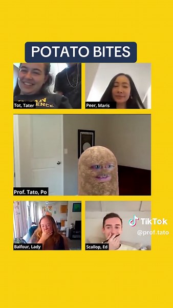 Cooking Potatoes: Prof. Tato's Fun Mashup