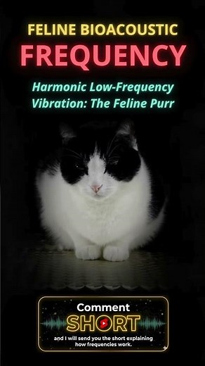 Feline Purr Frequency | Deep Relaxation and Nervous System Calm