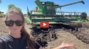 Laura Farms -- Soybean harvest 2023 -- Combine STUCK In Mud -- Farm Rescue