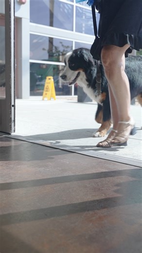 From the moment you walk through our doors, our Client Care team is focused on what matters most: putting eyes on your pet, understanding your concerns, and helping the medical team move quickly and smoothly. No two visits are the same. Every pet, every family, every situation is different—and we’re here to listen, problem-solve, and support you through it all. At VSH Sorrento Valley, compassion and coordination go hand in hand—because caring for pets also means caring for the people who love th