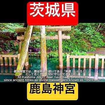 [Mystical Power Spot] The Incredible Legends and Breathtaking Views of "Kashima Shrine," the Olde...