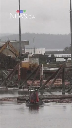 Pulp mill closure not due to tariffs, industry group says