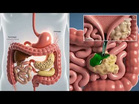 Food Digestion in Human Body | Complete 3D Animation | How Our Body Processes Food Step by Step