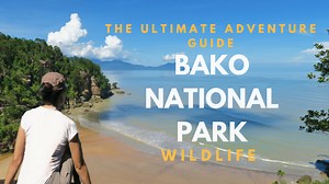Ultimate Guide to Bako National Park & Reasons To Go Now | Sarawak, Borneo - GRRRLTRAVELER