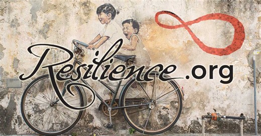 Spiderweb silks and architectures reveal millions of years of evolutionary ingenuity