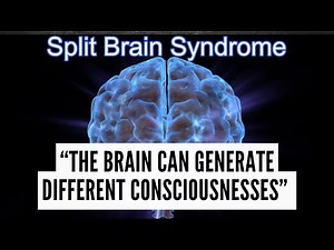 Each hemisphere can generate a separate consciousness (Roger Sperry Nobel Prize Winner)