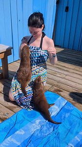 1.4K views · 1.1K reactions |  헙헟헔헦헛 헦헔헟험  on this weeks Ultimate...