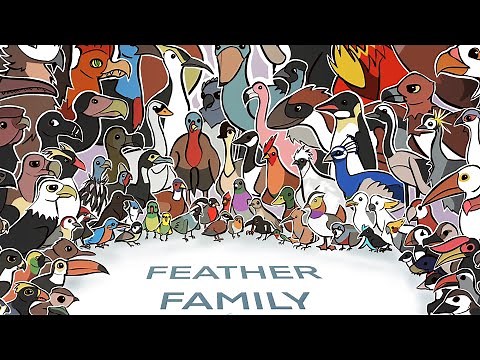 I draw EVERY BIRD from FEATHER FAMILY (Again)