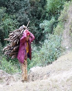 70K views · 1.1K reactions | Village by family | Traditional lifestyle | Primitive technology | Harvest Village | Facebook