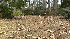 Lisa Watson Joyner on Reels