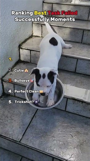 Ranking the Top Task Failed Successfully Moments