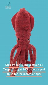 Our Animal Spotlight of the month for April is the Squid! Here are 5 fun facts about Squids: 1. Squids came about in the Jurassic Era 2. Squids can change color to help them camouflage 3. Squids use their ink as a defense mechanism 4. There are more than 300 species of squid in the world! 5. The largest squid on earth, the Colossal Squid, can reach up to 1,000 pounds! If your love of Squids is as great as ours, be sure to stop by our retail location at Tanger 2 to check out our adorable Squid pl
