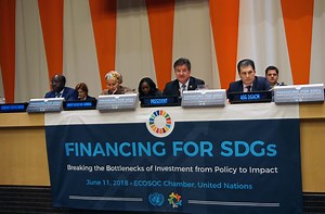 #SDGsinAcademia: Goal 17 | United Nations