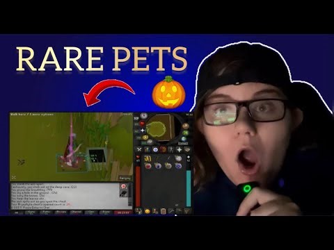 Rare Pets OSRS