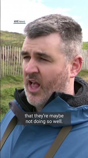 Seabird census helping conservation efforts on Ireland’s Eye