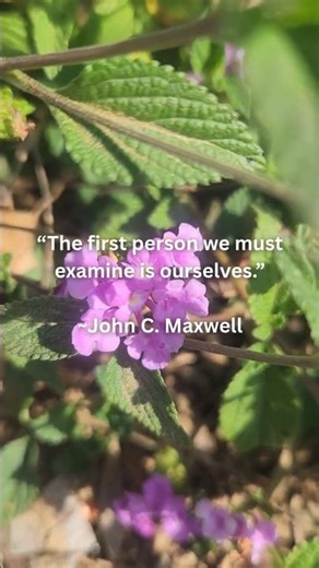 This quote comes from the "Mirror Principle" explained further in the description ...