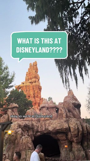 Uncovering the Mystery at Disneyland: What is it?