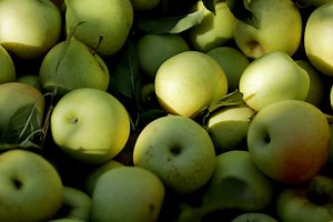 Tech on Tap: Food safety and preservation during COVID-19