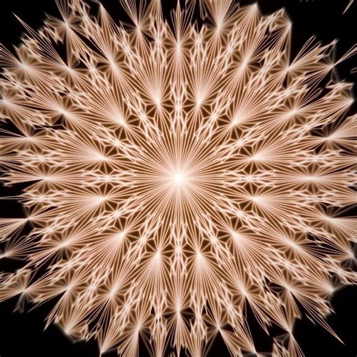 Sacred pattern | Mandala growth animation