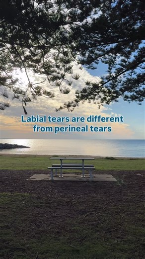 Birthtrauma.org.au (BTA) on Instagram: "Labial tears are different from perineal tears, but that doesn’t mean they’re less serious. Even “small” tears can affect: Comfort while sitting or walking Intimacy and body confidence Overall postpartum recovery Simple self-care goes a long way: warm showers, sitz baths, breathable underwear, and hydration. And if discomfort lingers, don’t wait, a pelvic health physiotherapist can help guide healing. Your body has been through a lot, and your experience i