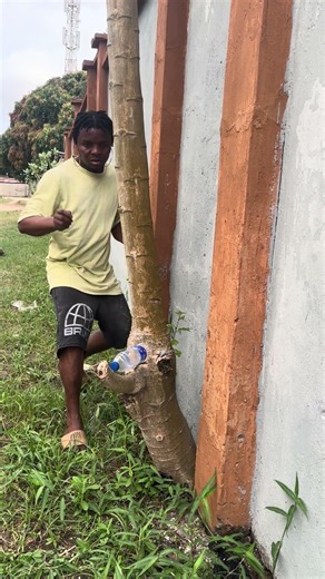 The pawpaw tree have learned his lesson 😂 #funny #highlight #trending #comedy