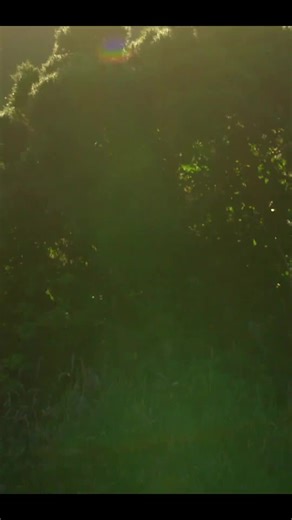 Packing for a family glamping trip doesn't mean lugging a mountain of bags! Here's how to pack light and smart, all while keeping your style intact: - Choose versatile clothes that mix and match easily. - Pack layers for unpredictable Welsh weather. - Use packing cubes to stay organised and save space. - Don't forget the essentials: swimwear for the hot tub, cosy pyjamas, and your favourite retro tunes! Ready to pack like a pro and enjoy your retro glamping getaway? Comment