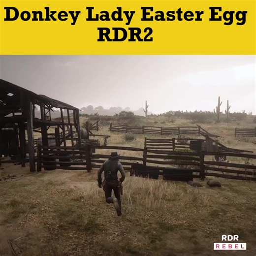 RDR2: Donkey Lady Easter Egg Revealed!