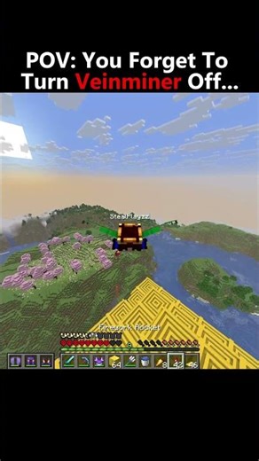 POV: You Forget To Turn Veinminer Off... #minecraft