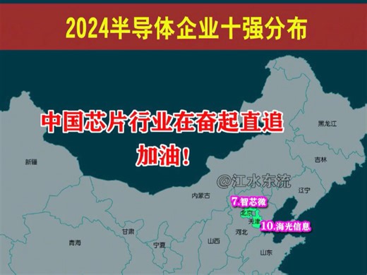 2024半导体企业十强分布！中国芯片行业在奋起直追，加油！#半导体 #芯片 #十强 #数据可视化