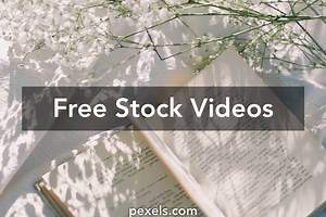 Study Aesthetic Videos, Download The BEST Free 4k Stock Video Footage & Study Aesthetic HD Video Clips