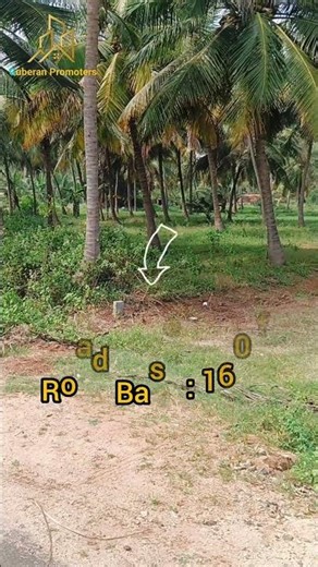 80 Cent farm Land for Sale in Vellode #erode #guberanpromoters #perundurai #tirupur #coimbatore