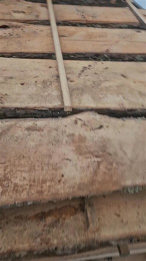 Built this entire inventory board by board, day after day. No shortcuts, no crew—just sustained output and a clear vision. The volume in this building didn’t happen by accident. It’s the cumulative result of staying in the grind long after most people tap out. #keepgoing #neverstop #hardwood #lumber #supply #hardwoodslabs This is what scaling looks like when you execute with discipline. | RockyTop Woods